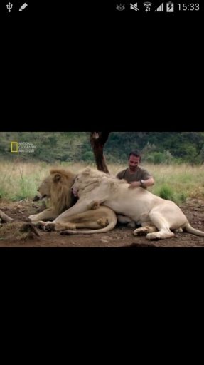 Nat Geo Abu Dhabi Videos截图5