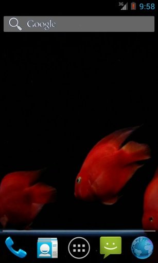 Red Fish Aquarium LWP HD截图5