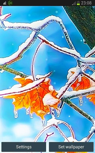 Winter n Snowflake in LWP截图2