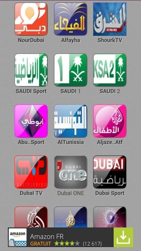 ZIBA Arab TV截图2