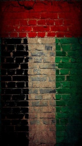 United Arab Emirates flag LWP截图4