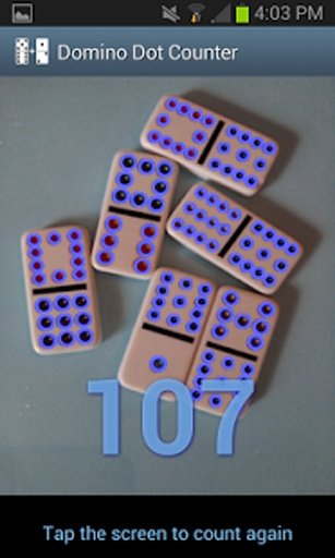 Domino Dot Counter Demo截图3