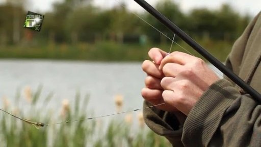 Carp Fishing Tips &amp; Techniques截图2