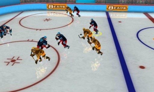 Hockey Pro 3D 2014截图7