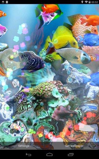 aniPet Aquarium LWP截图3