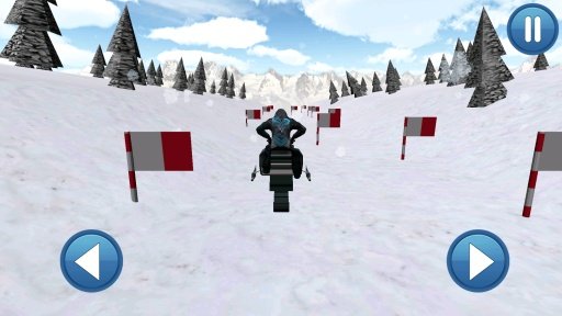 Snowmobile Race 3D Pro截图5