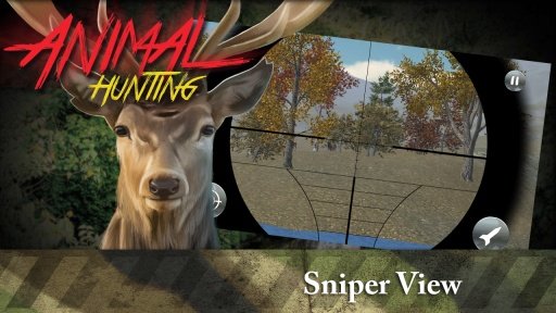 Animal Hunting 3D截图3