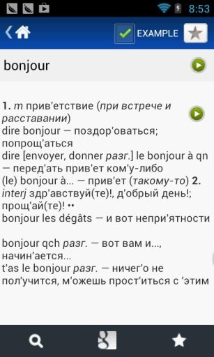 French Russian Dictionary截图4