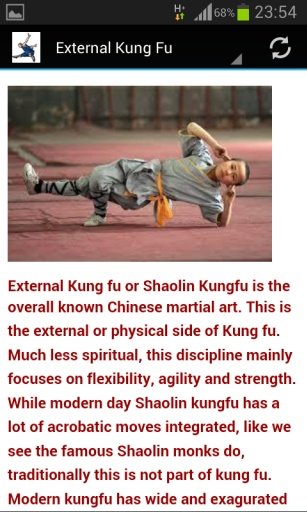 Shaolin Kung fu截图2