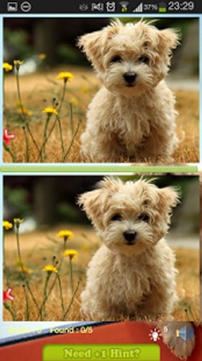 Find Difference - Puppy截图4