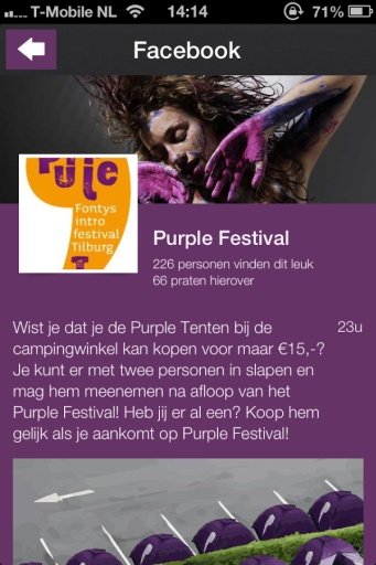 Purple Festival截图4