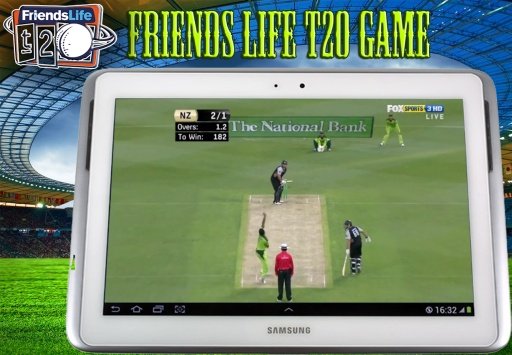 Friends Life T20 Cricket Game截图8