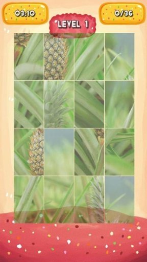 Pineapple Jigsaw Puzzle截图2