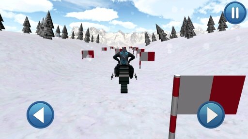 Snowmobile Race 3D Pro截图2