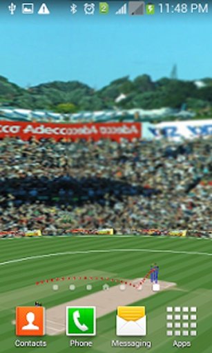 3D Cricket Stadium截图2