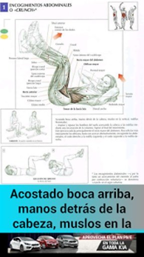 Ejercicios Abdominales Total截图4