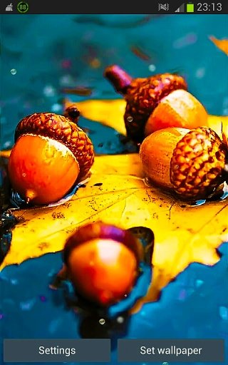 Autumn Rain Live Wallpapers截图2