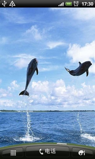 Dolphin Diving live wallpaper截图1