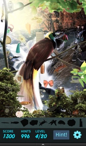 Hidden Object - Birds Aviary截图4