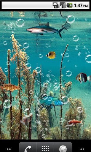 Zen underwater Live Wallpaper截图4