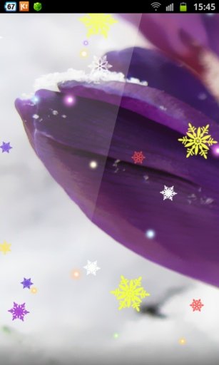 Newyear Snow HD LWP截图3