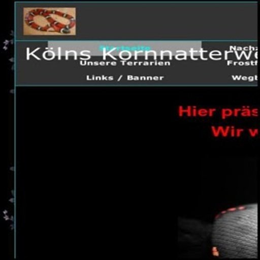 K&ouml;lns Kornnatterwelt截图1