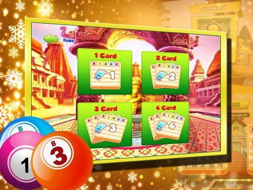 Bingo Beauty Game截图1