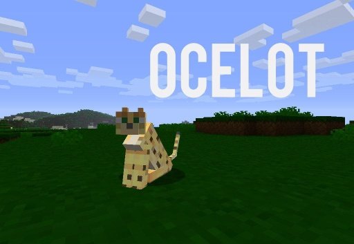 Ocelot Cat Puzzle Heroes截图3