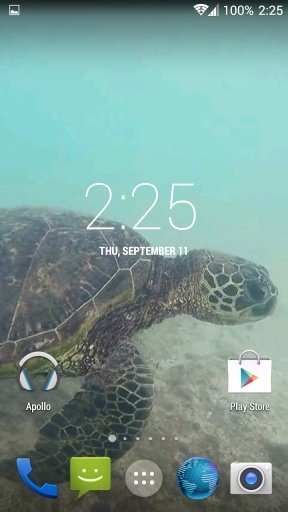 Sea Turtle HD. Wallpaper截图3