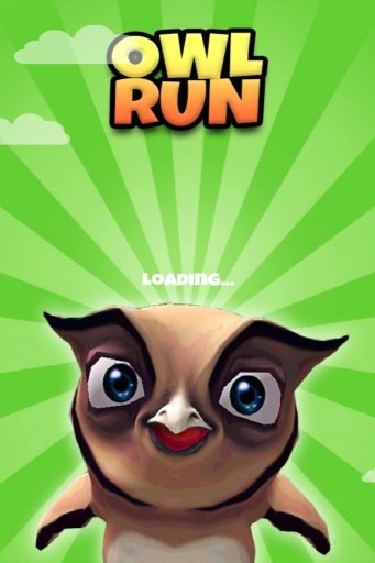 Owl Run: 3D Bird Running Game截图5