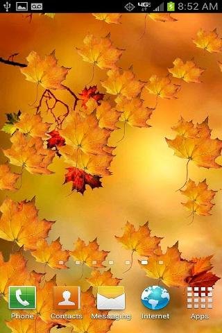 Autumn Branch Live Wallpaper截图2