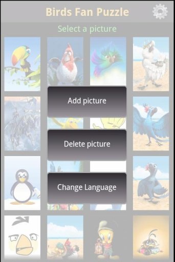 Birds Fan Puzzle截图6