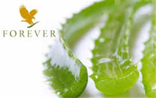 Forever Living Distributor截图4