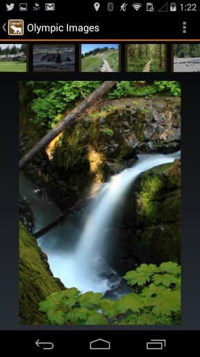 Chimani Olympic National Park截图1