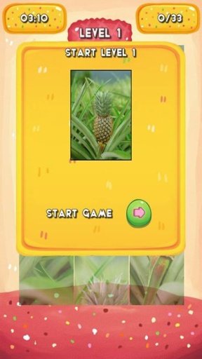 Pineapple Jigsaw Puzzle截图4