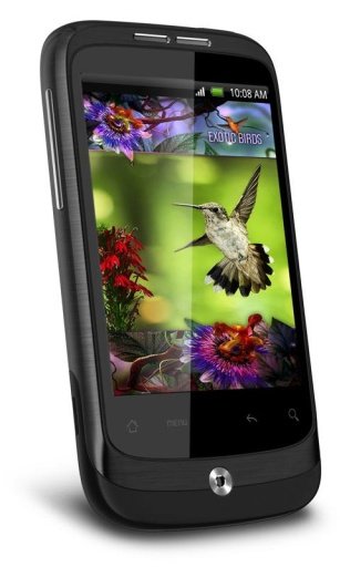 Colibri House Live Wallpaper截图3