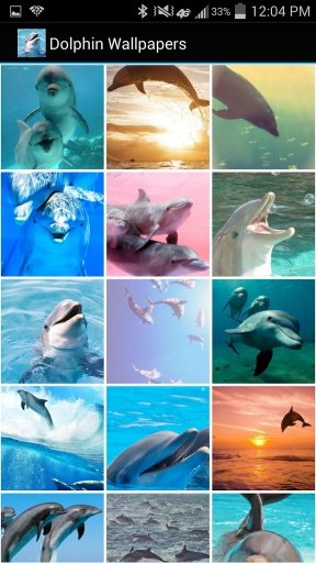 Dolphin Wallpapers截图2