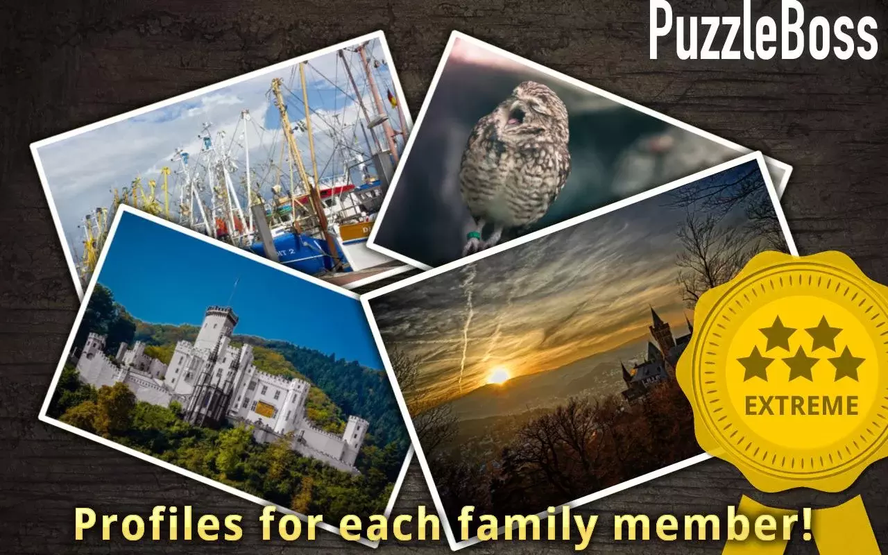 German Jigsaw Puzzles FREE截图6