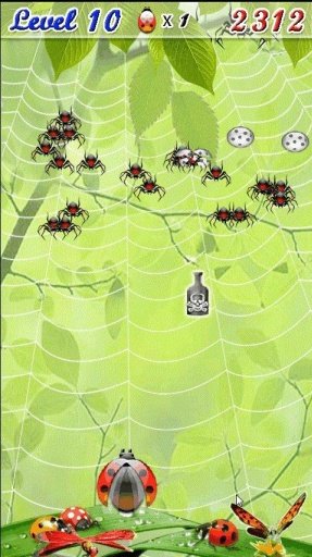 Spider Craze Demo截图4