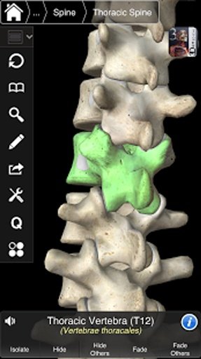 Essential Skeleton 3截图6