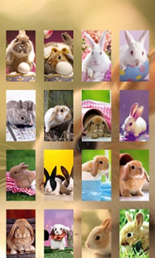 Bunny jigsaw Puzzle截图6