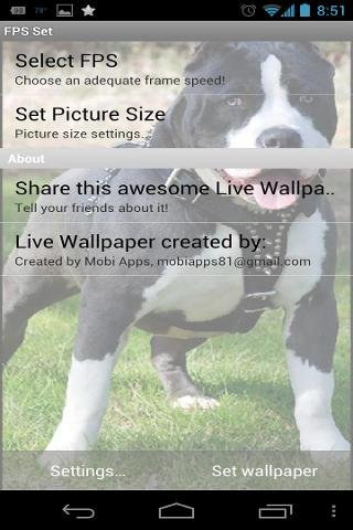 Pitbull Dog Live Wallpaper截图2