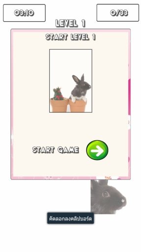 The Bunny Puzzle截图3