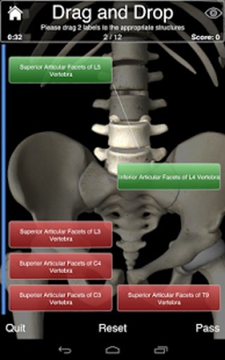 Essential Skeleton 3截图10