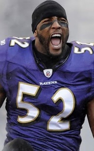 Ray Lewis Games截图5