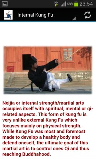 Shaolin Kung fu截图1