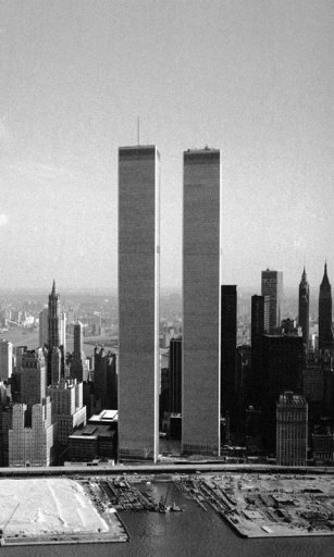 twin towers black and white截图1