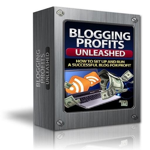 Blogging Profits Unleashed截图2