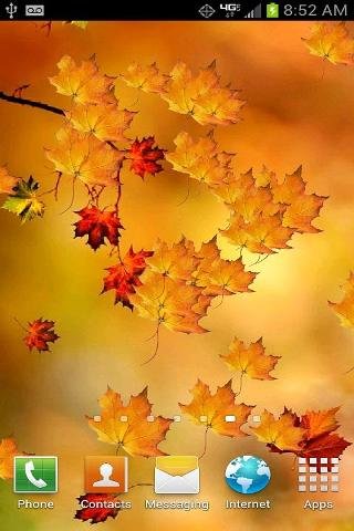 Autumn Branch Live Wallpaper截图1