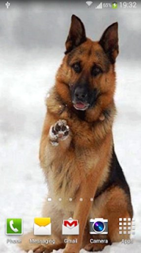 Talking German Shepherd截图2